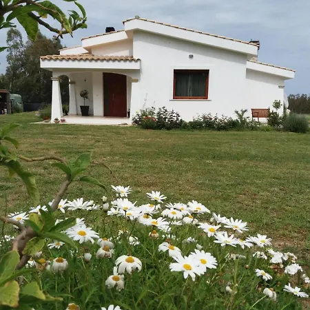 B&B Briosa-3