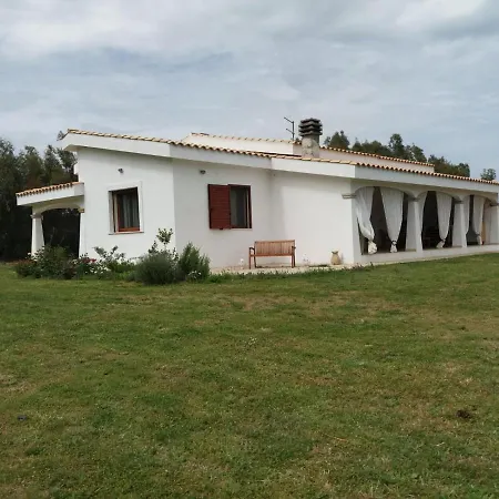 B&B Briosa-2